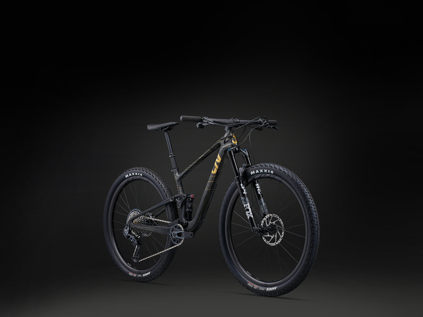 Unveiling the Pique Advanced 29: Liv's Cutting-Edge Trailblazer!