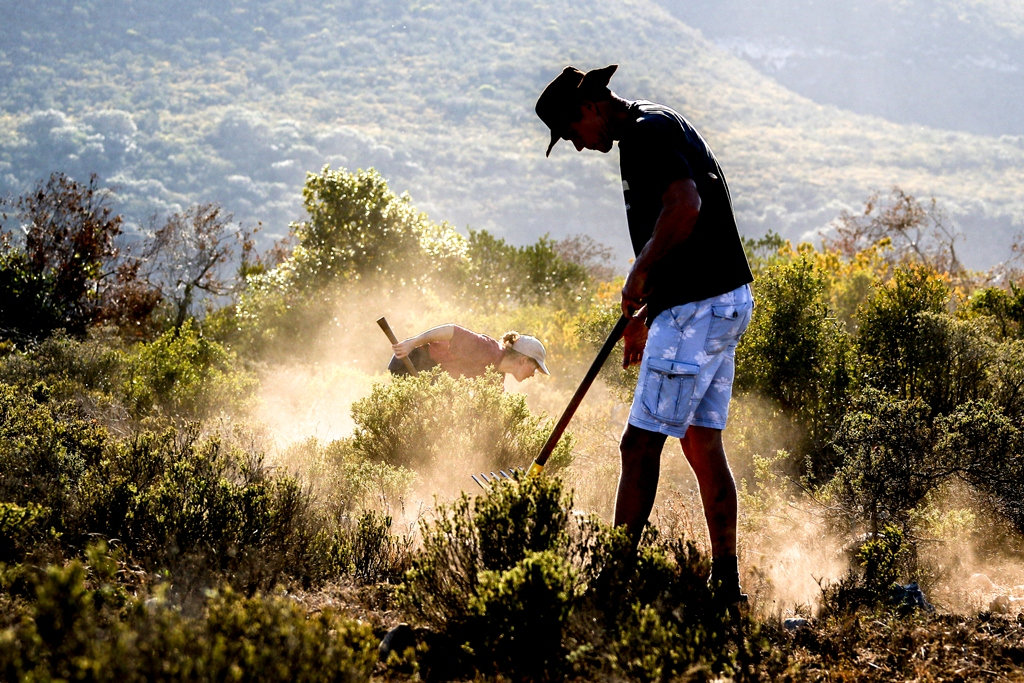 Photograph accompanying Inaugural De Hoop Vlei MTB Experience - 2018 Routes Revealed