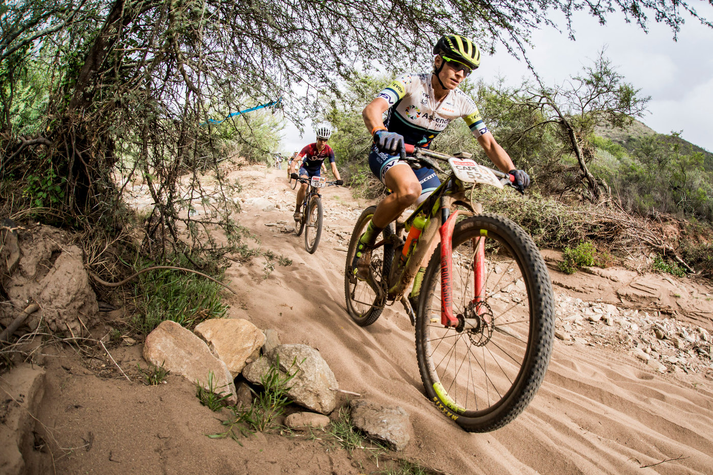 Photograph accompanying 2020 Absa Cape Epic Women's Field: Orange on the line at the 2020 Absa Cape Epic
