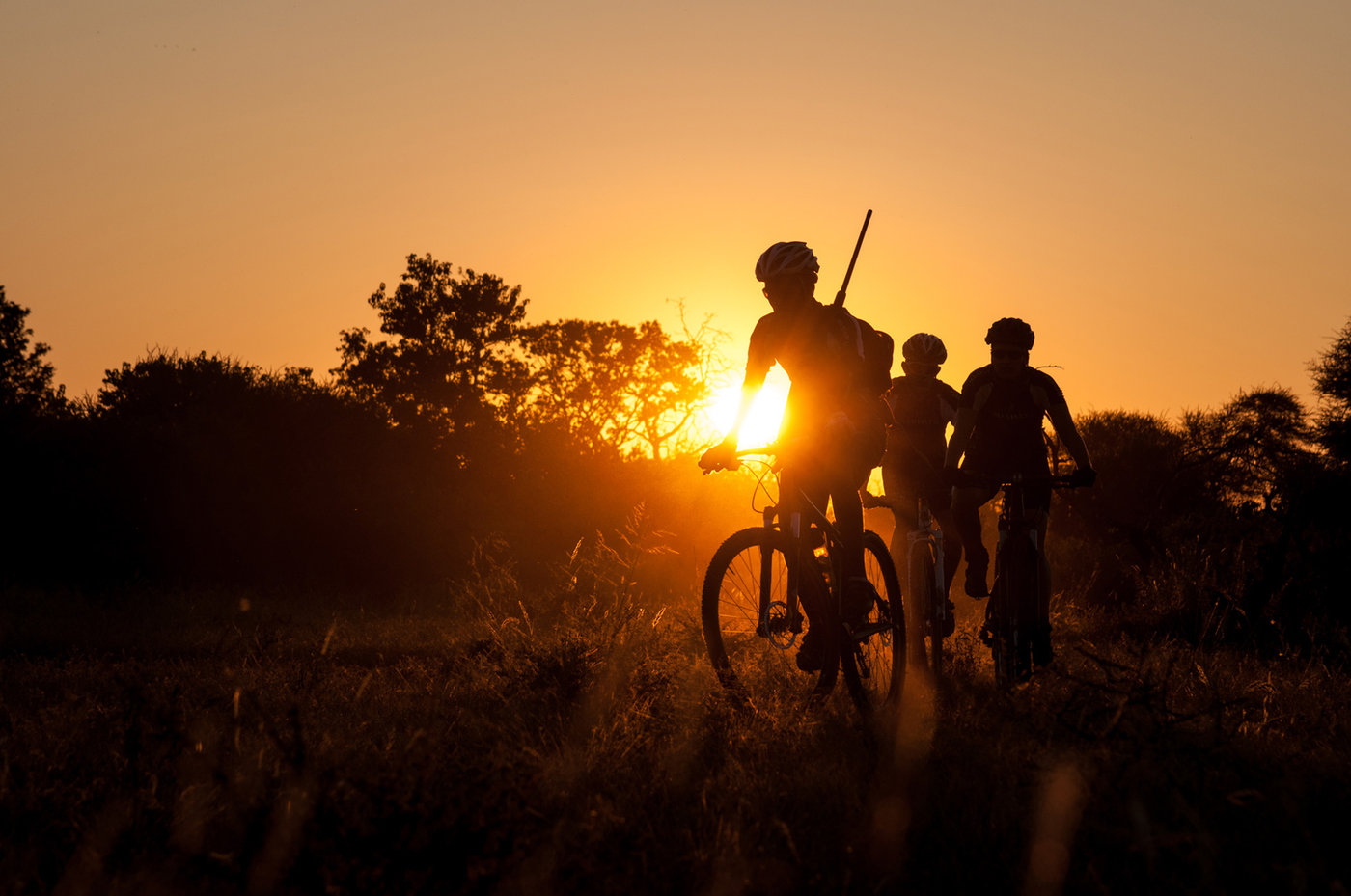Photograph accompanying Cycle Mashatu - A Soul Ride