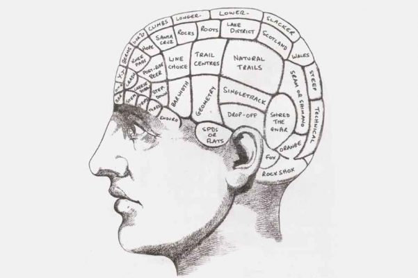 Photograph accompanying How mountain biking makes us smarter.