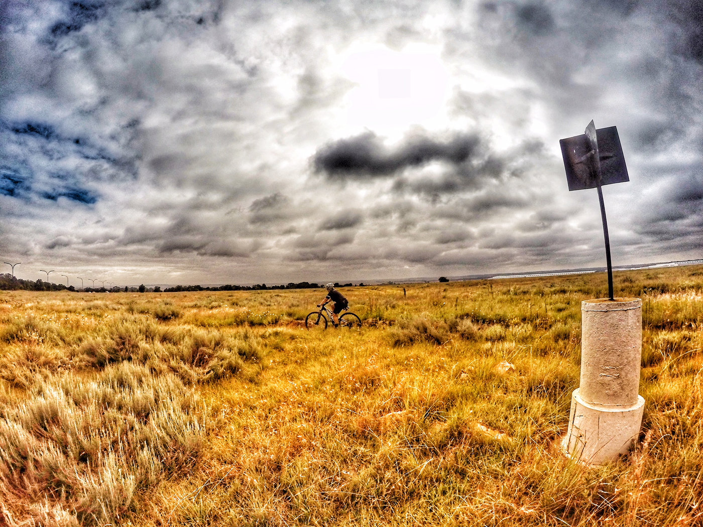 Photograph accompanying The 10 Laws of Endurance Training