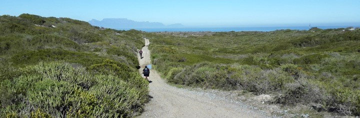Photograph accompanying Trail Tale: Koeberg is cool!