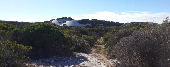 Photograph accompanying Trail Tale: Koeberg is cool!