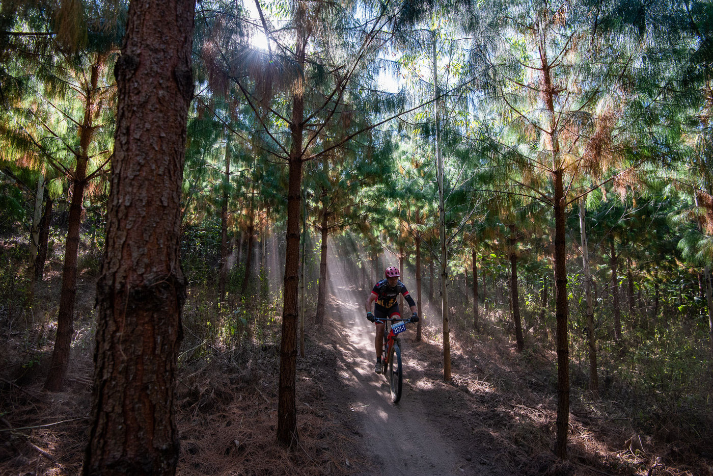 Photograph accompanying sani2c nonstop rides again - A new race format makes a comeback at the iconic race!