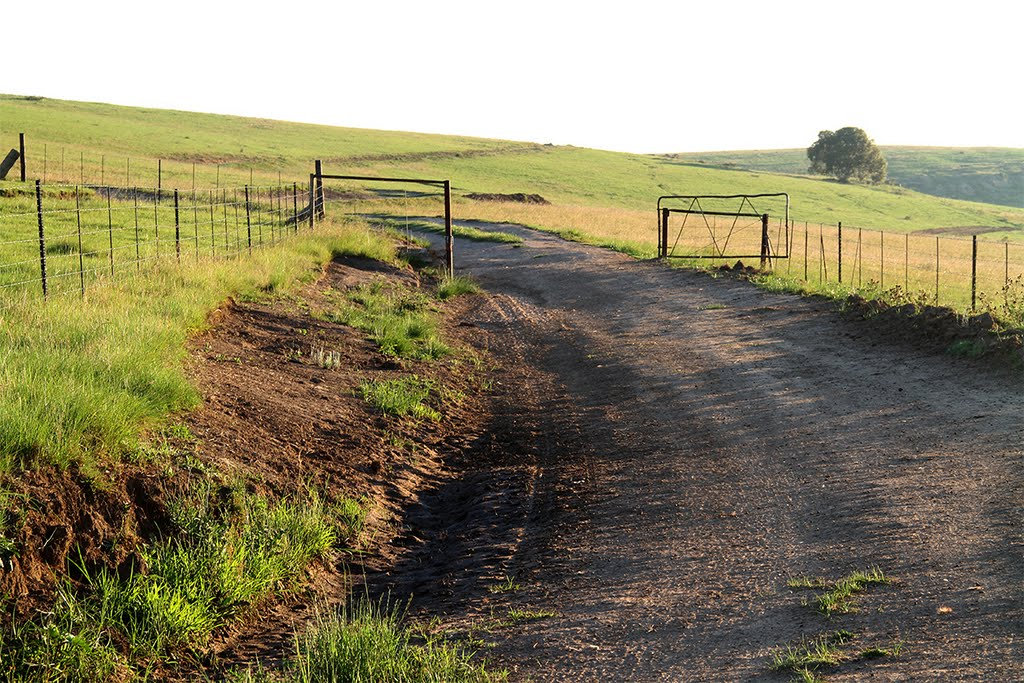 Photograph accompanying The new Gravel Grand Prix Series to roam the country roads of South Africa.