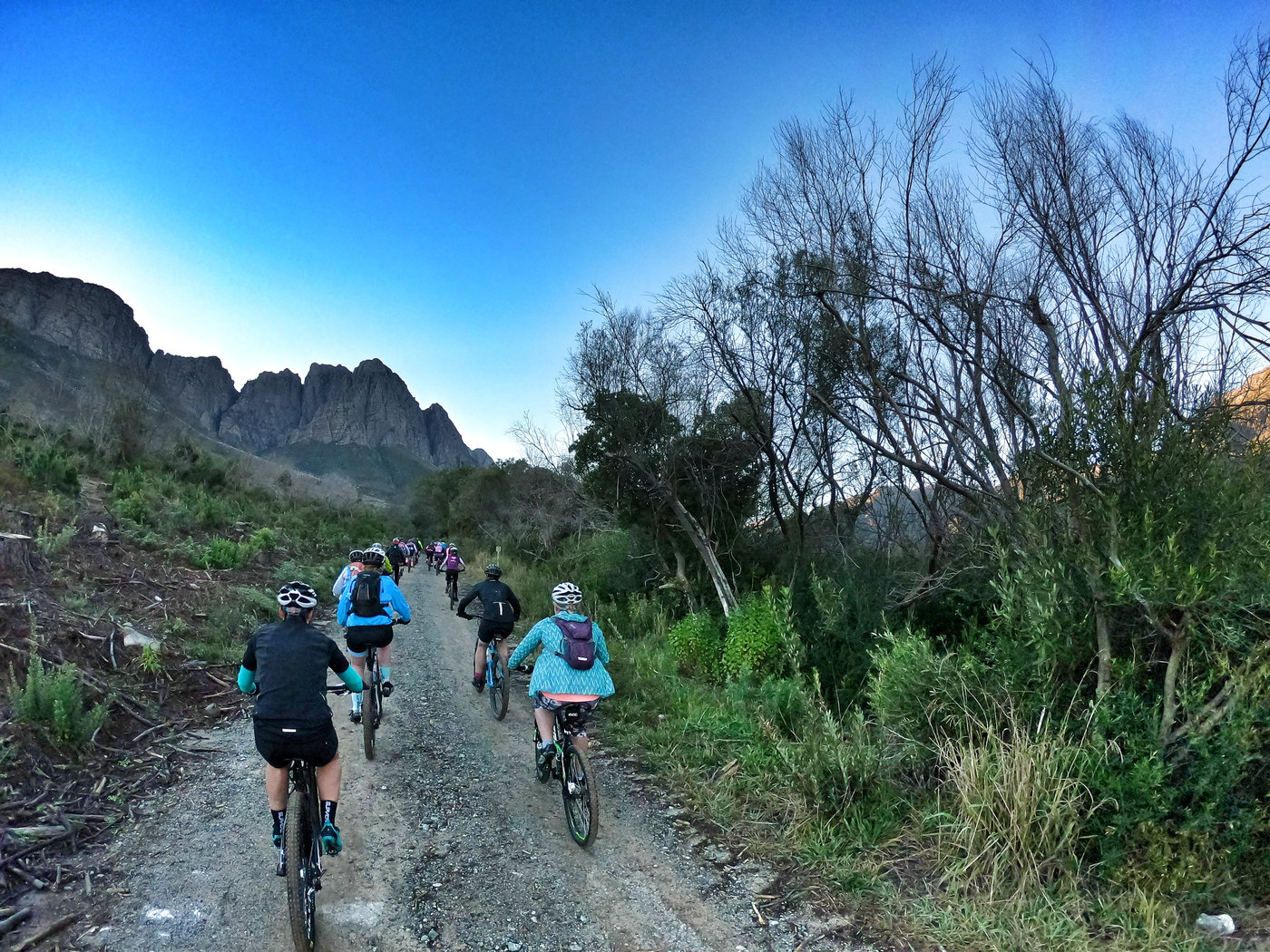 Photograph accompanying Getting More Women on Bikes : Ladies Rides with the FNB Wines2Whales and Biking in the Bosch.