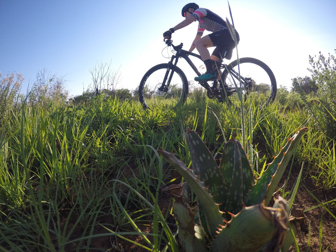 Photograph accompanying The 10 Laws of Endurance Training