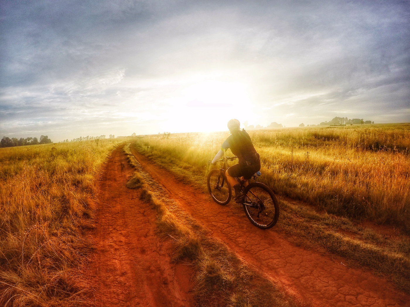 Photograph accompanying The 10 Laws of Endurance Training
