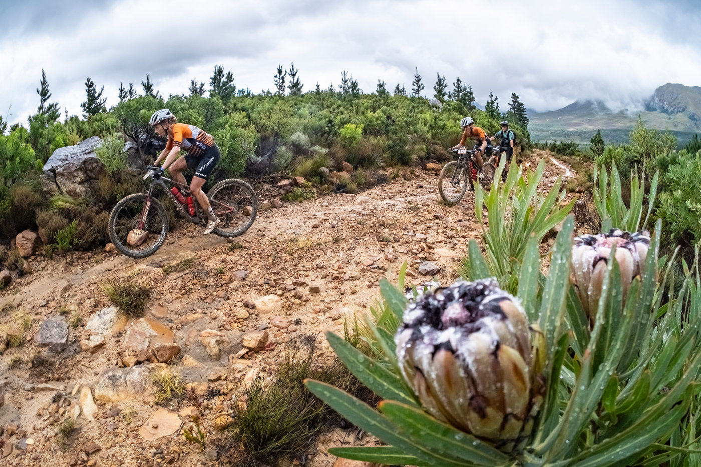 Photograph accompanying Why the 2025 Absa Cape Epic was a defining moment for women in mountain biking