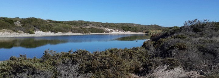 Photograph accompanying Trail Tale: Koeberg is cool!