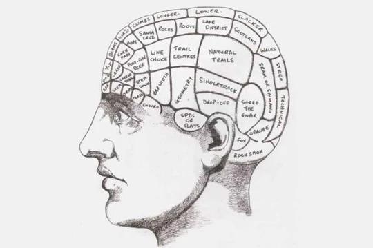 Photograph accompanying How mountain biking makes us smarter.