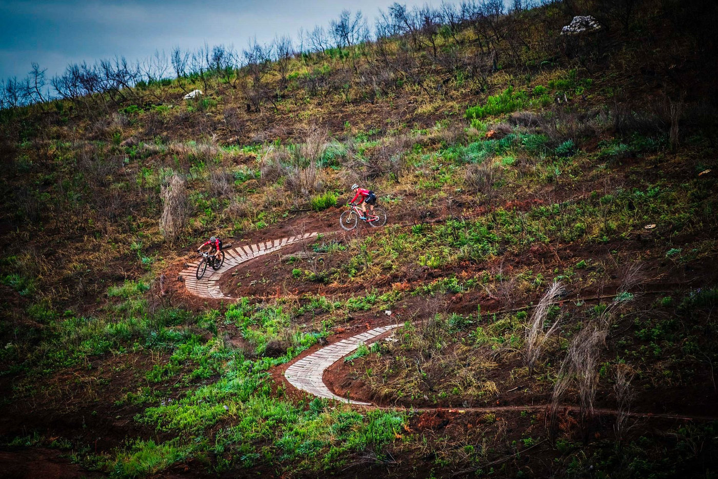Photograph accompanying 2020 FNB Wines2Whales Route Reveal - Trails Reimagined