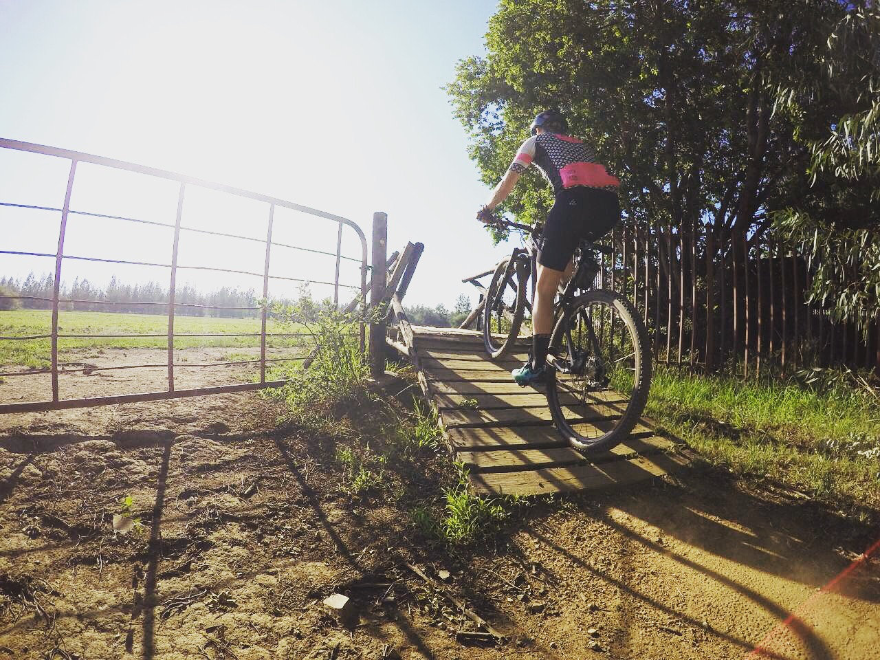 Photograph accompanying The 10 Laws of Endurance Training