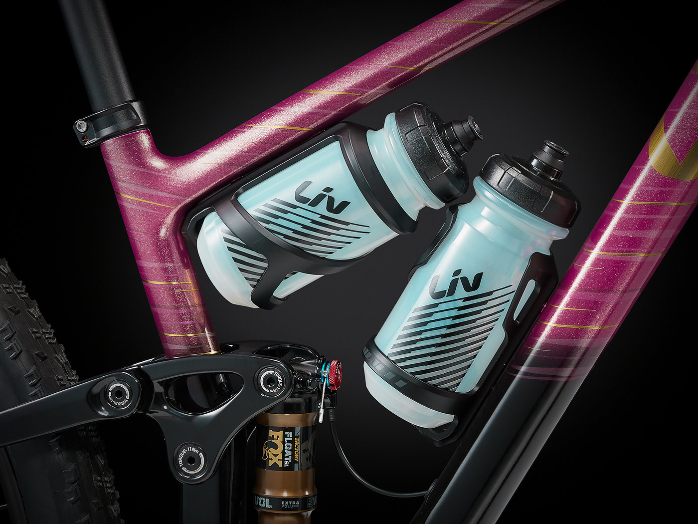 Photograph accompanying Unveiling the Pique Advanced 29: Liv's Cutting-Edge Trailblazer!