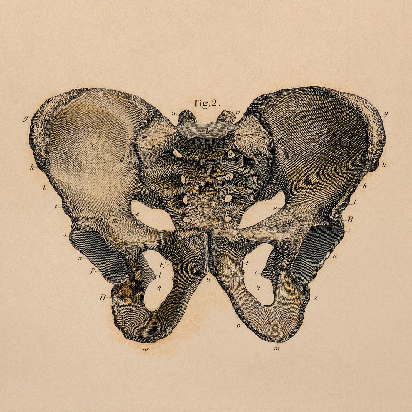Photograph accompanying Your Hips Don't Lie