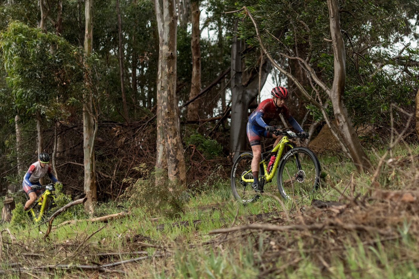 Photograph accompanying Muddy Faces Thrive on Stage 1 of FNB W2W Chardonnay