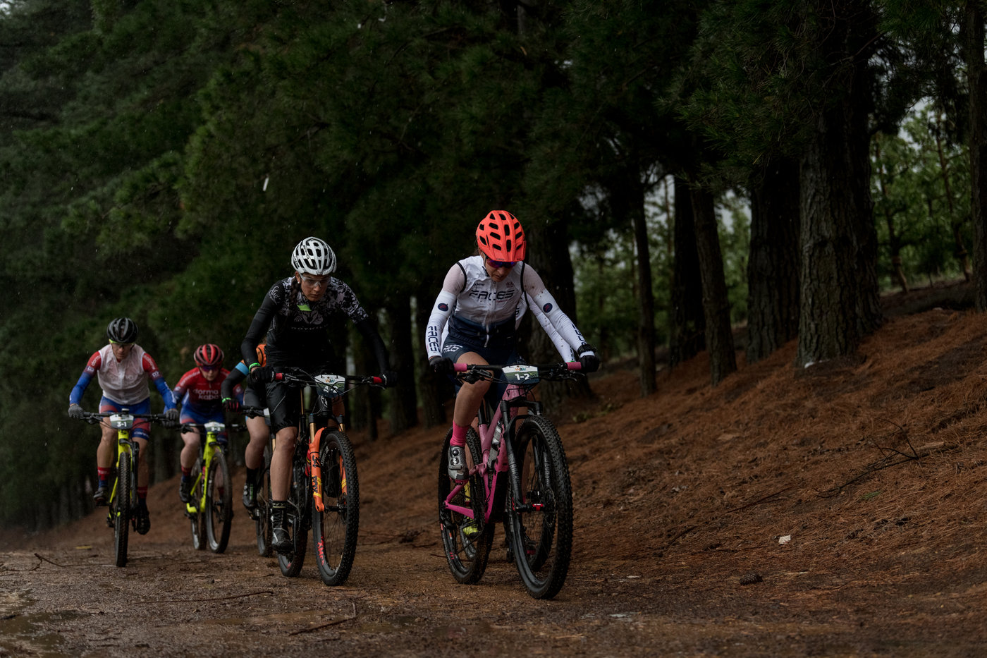 Photograph accompanying Muddy Faces Thrive on Stage 1 of FNB W2W Chardonnay