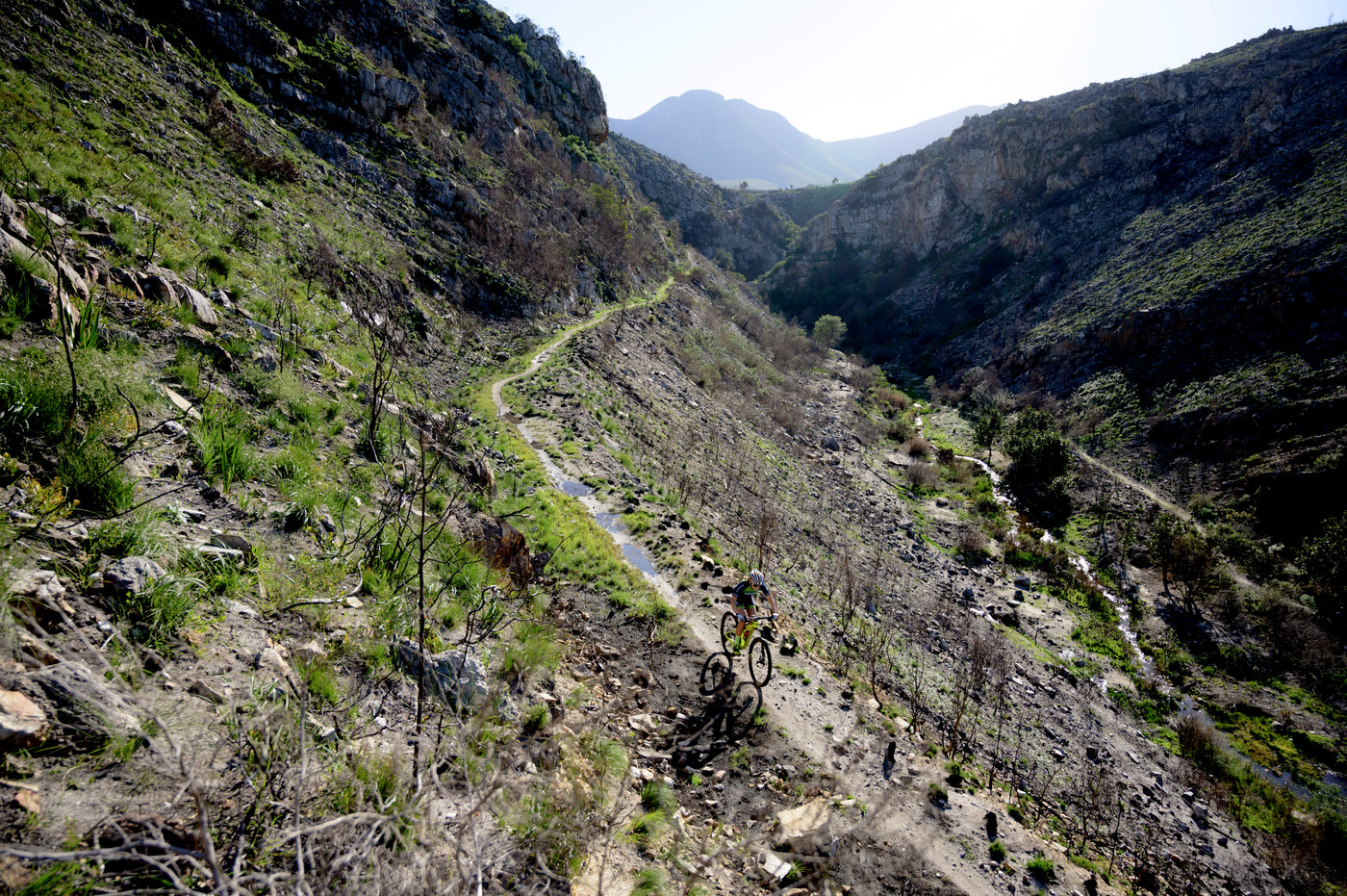 Photograph accompanying New Trails In Store for 2019 FNB Wines2Whales - Breaking from tradition, new trails are blazed on St