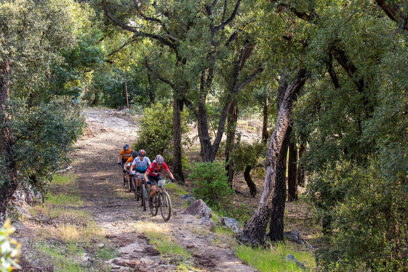 Frei & Stigger march on during Stage 4 of Absa Cape Epic