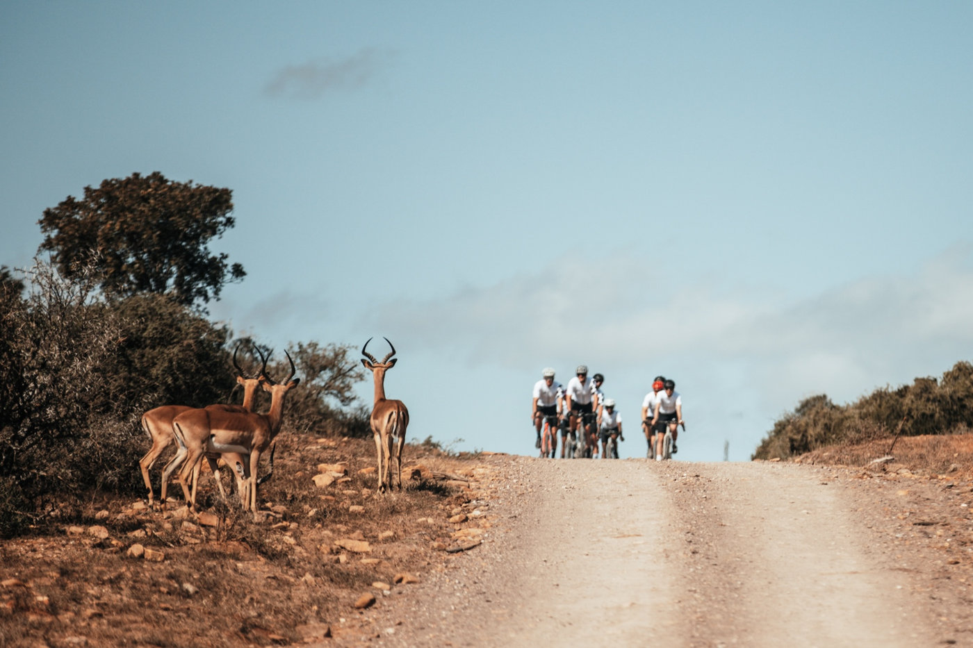 Photograph accompanying Gravel Burn: South Africa’s Bold New Gravel Stage Race Is Here to Change the Game