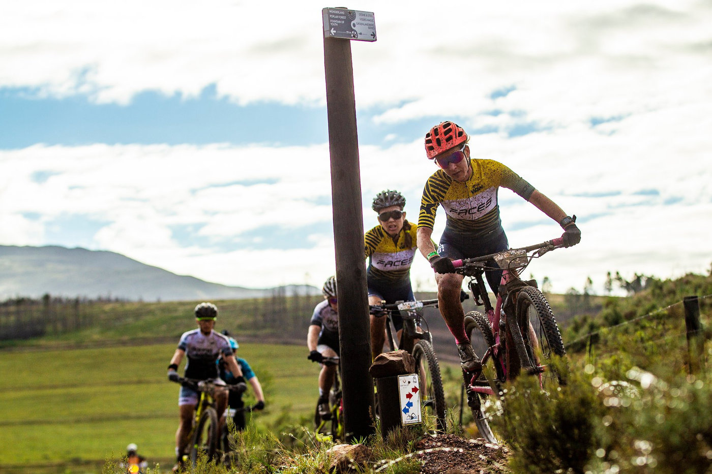 Photograph accompanying Stage 2 of the FNB W2W Chardonnay Down to a Sprint