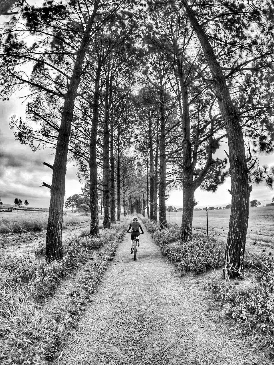 Photograph accompanying The 10 Laws of Endurance Training