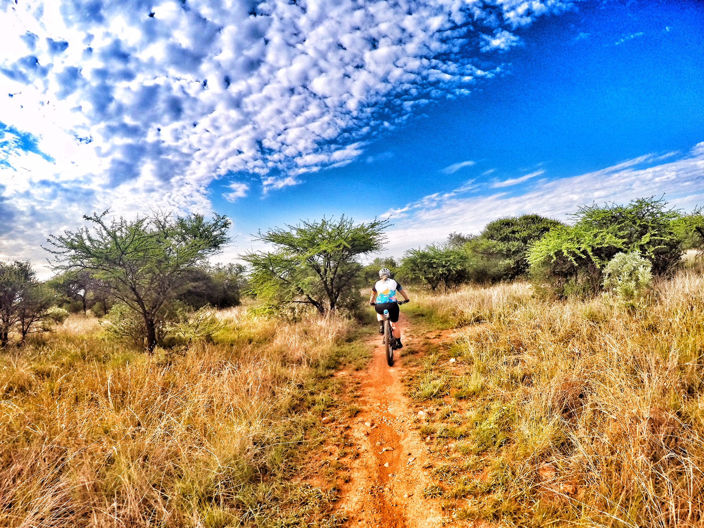 Photograph accompanying The 10 Laws of Endurance Training