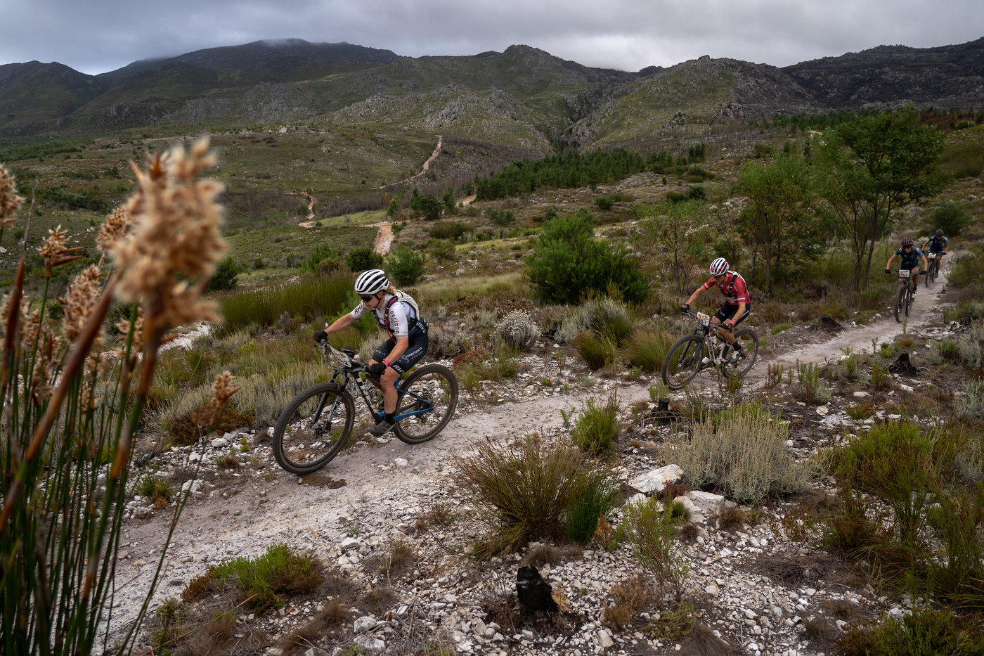 Photograph accompanying BMC MTB Racing soars on Stage 2 at Absa Cape Epic