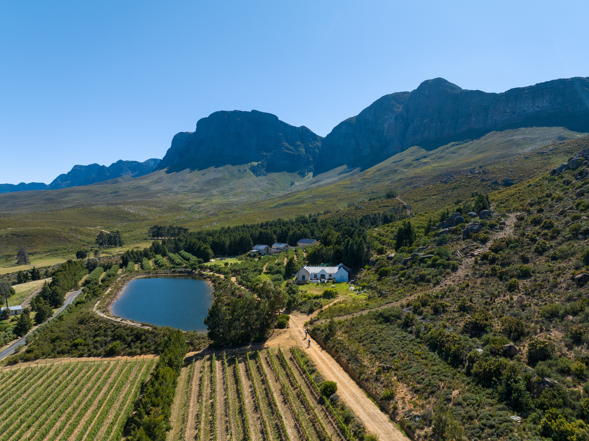 Supplied landscape photograph accompanying the FNB Wines2Whales partnership announcement.