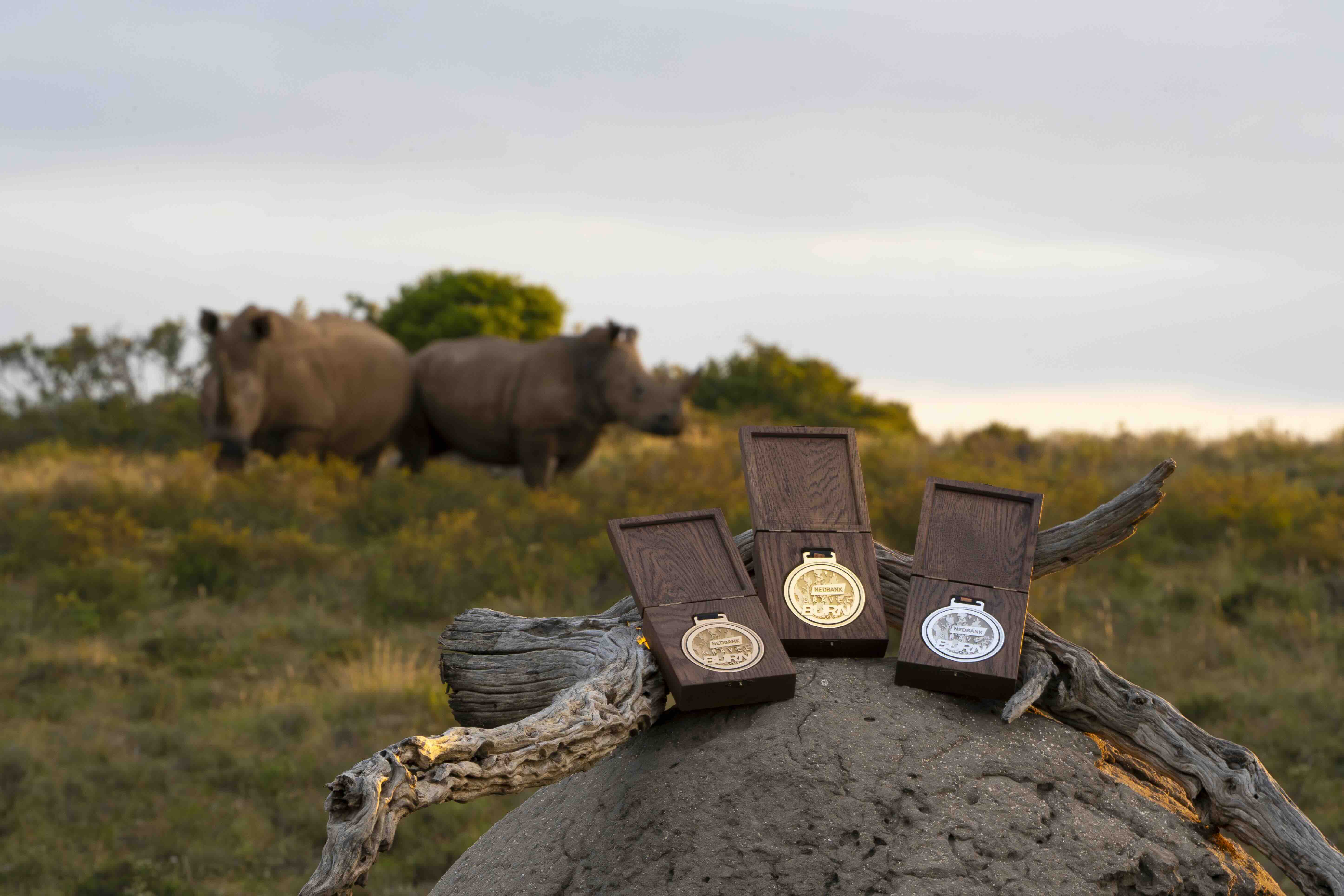 Three boxed medals sit on a rock beside a horn or piece of driftwood, with two rhinoceroses blurred in the background.